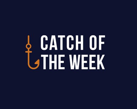 Catch of the week | MSC Cruises Catch of the week | MSC Cruises