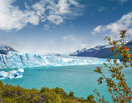 MSC World Cruise 2027 | MSC Cruises MSC World Cruise 2027 | MSC Cruises