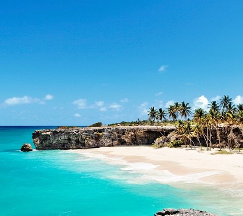 fyc_car_01_mobile Mobile Image