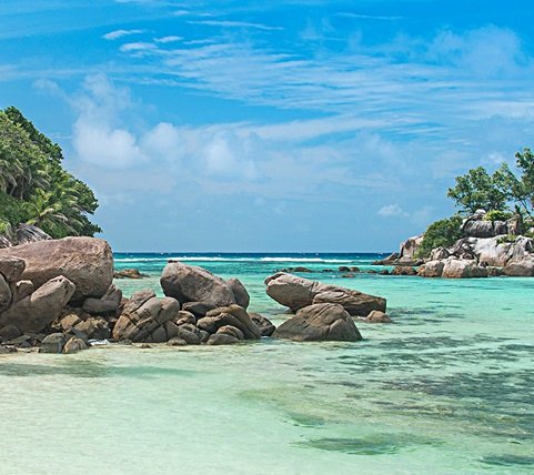 fyc_gv_10_mobile Mobile Image