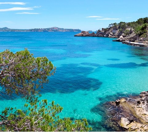 fyc_med_10_mobile Mobile Image